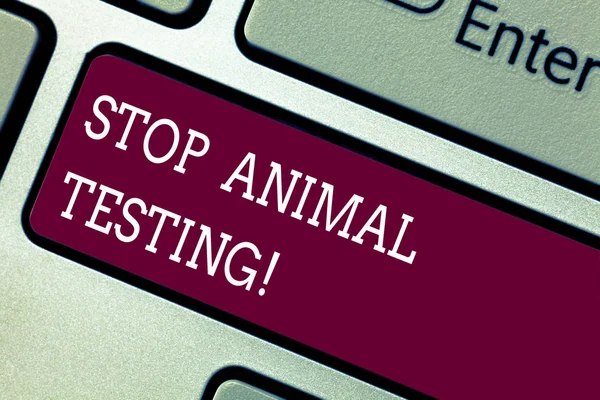 Текст для написания слов Stop Animal Testing. Бизнес-концепция научного эксперимента, в котором живое животное вынуждено пройти клавишу клавиатуры Намерение создать идею клавиатуры компьютерного сообщения . — стоковое фото