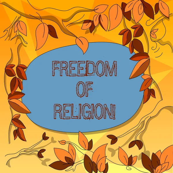 Λέξη σύνταξη κειμένου ελευθερία της θρησκείας. Επιχειρηματική ιδέα για το δικαίωμα να ασκήσουν την όποια θρησκεία ένα επιλέγει δέντρο κλαδιά διάσπαρτα με φύλλα γύρω χρώμα κειμένου κενό. — Φωτογραφία Αρχείου