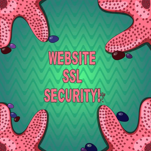 Handwriting text writing Website Ssl Security. Concept meaning encrypted link between a web server and a browser Starfish photo on Four Corners with Colorful Pebbles for Poster Ads Cards.