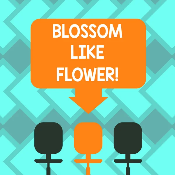 Text sign showing Blossom Like Flower. Conceptual photo plant or tree that will form the seeds or fruit Blank Space Color Arrow Pointing to One of the Three Swivel Chairs photo. — Stock Photo, Image