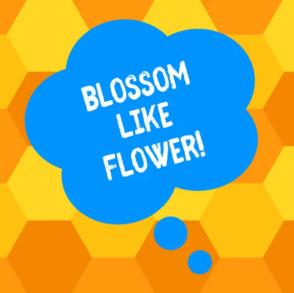 Handwriting text writing Blossom Like Flower. Concept meaning plant or tree that will form the seeds or fruit Blank Color Floral Shape Thought Speech Bubble photo for Presentation Ads. — Stock Photo, Image