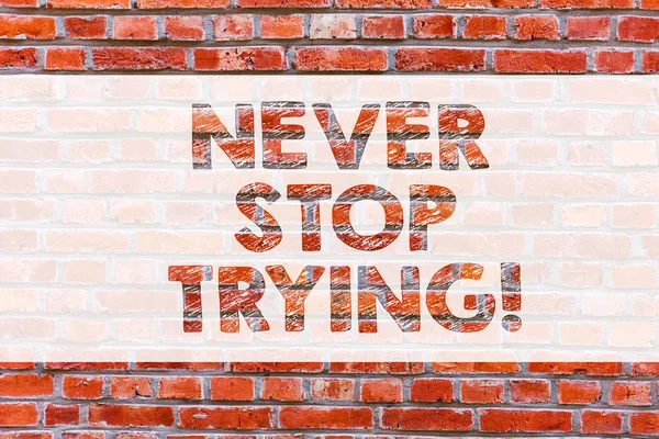 Conceptual hand writing showing Never Stop Trying. Business photo showcasing fight hardest battle inorder reach your goals and dreams Brick Wall art like Graffiti motivational written on wall.