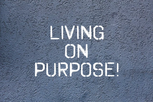 Tekst teken weergegeven: Living On Purpose. Conceptuele foto bereiken evenwicht tussen hun hart en carrière baan bakstenen muur kunst zoals motiverende gesprek Graffiti op de muur geschreven. — Stockfoto