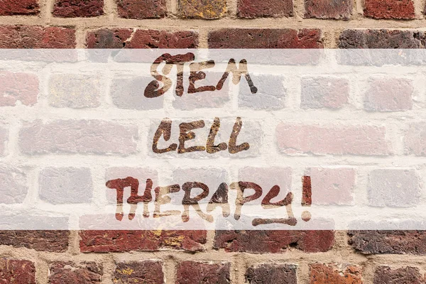 Note d'écriture montrant la thérapie par cellules souches. Photo d'affaires montrant les utiliser pour traiter ou prévenir la maladie ou la condition dure Brick Wall art comme Graffiti appel de motivation écrit sur le mur . — Photo