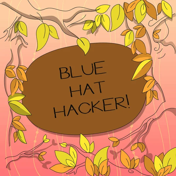 Szöveg jel mutatja a kék kalapot Hacker. Fogalmi fénykép személy tanácsadó cégek, akik előtt a dob fa ágai szétszórt elhagyja körülvevő színes szöveg szóközzel bogár. — Stock Fotó