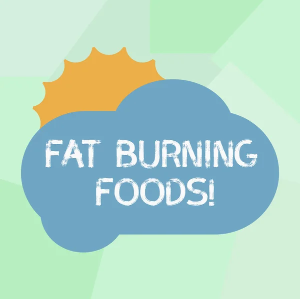 Conceptual Hand Writing Showing Fat Burning Foods Business Photo Showcasing — Stock Photo, Image