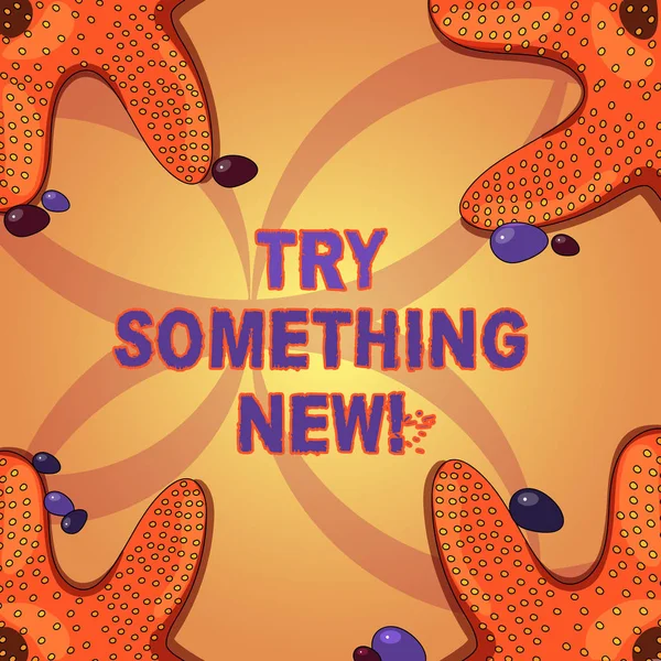 Writing note showing Try Something New. Business photo showcasing start doing anything you did not made or know before Starfish on Four Corners with Pebbles for Poster Ads Cards. — Stock Photo, Image