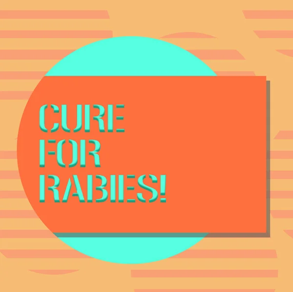 Word writing text Cure For Rabies. Business concept for Vaccination medicines to fight against illness lethal virus Blank Rectangular Color Shape with Shadow Coming Out from a Circle photo. — Stock Photo, Image