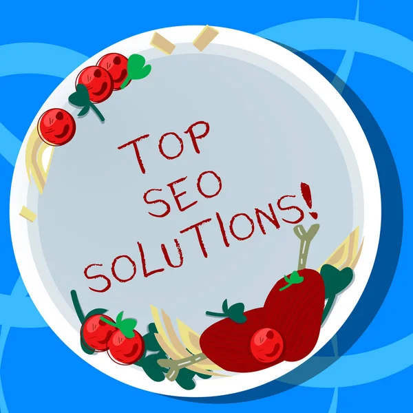 Escritura manual conceptual que muestra Top Seo Solutions. Fotografía de negocios que muestra la metodología de técnicas para aumentar la cantidad de visitantes Dibujado a mano Cordero Picaduras Hierba Especia Tomates Cherry en la placa . —  Fotos de Stock