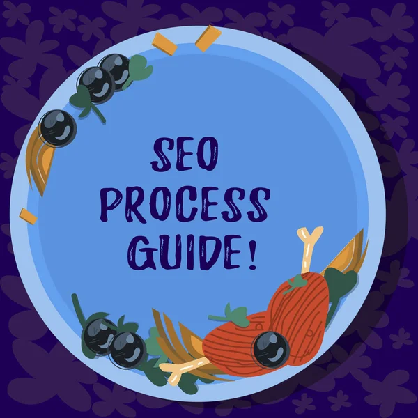 Text sign showing Seo Process Guide. Conceptual photo set actions improve online visibility website in engines Hand Drawn Lamb Chops Herb Spice Cherry Tomatoes on Blank Color Plate. — Stock Photo, Image