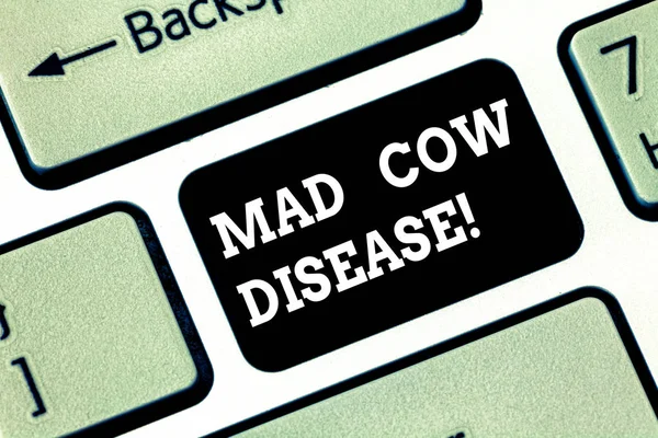 Handwriting text writing Mad Cow Disease. Concept meaning Neurodegenerative lethal disease contagious eating meat Keyboard key Intention to create computer message pressing keypad idea.