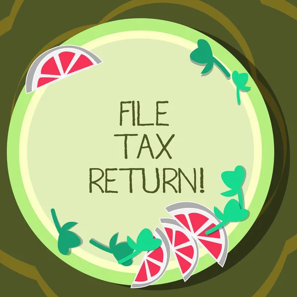 Conceptual hand writing showing File Tax Return. Business photo showcasing Paperwork to get financial money returning accountant job Cutouts of Sliced Lime Wedge and Herb Leaves on Color Plate.