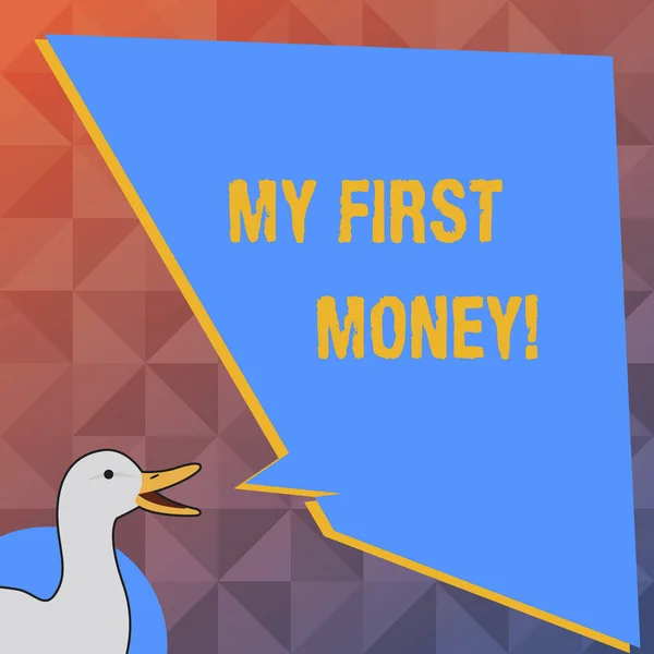 Manuscrito texto My First Money. Conceito significado Começando a receber pagamentos receitas de seu trabalho ou negócio . — Fotografia de Stock