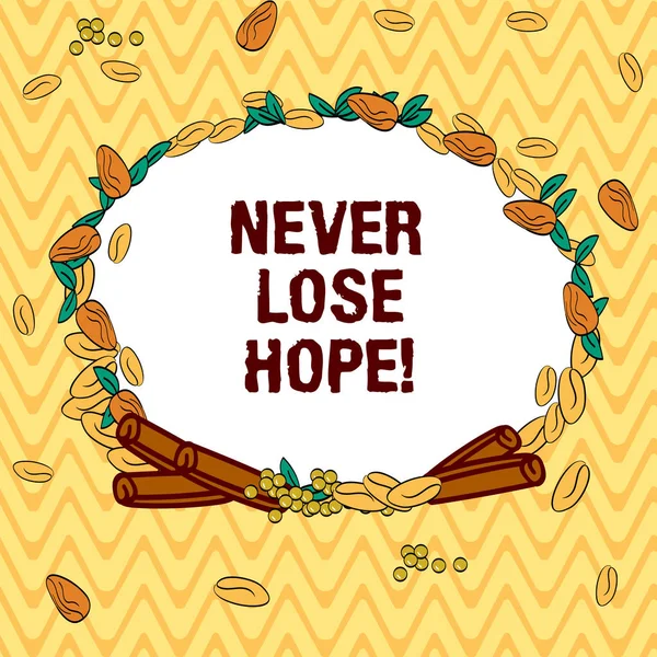 Escribiendo una nota que muestra Never Lose Hope. Exhibición de fotos de negocios Sea optimista positivo tenga motivación para seguir adelante Corona hecha de semillas de diferentes colores Hojas y Rolled Cinnamon photo . — Foto de Stock