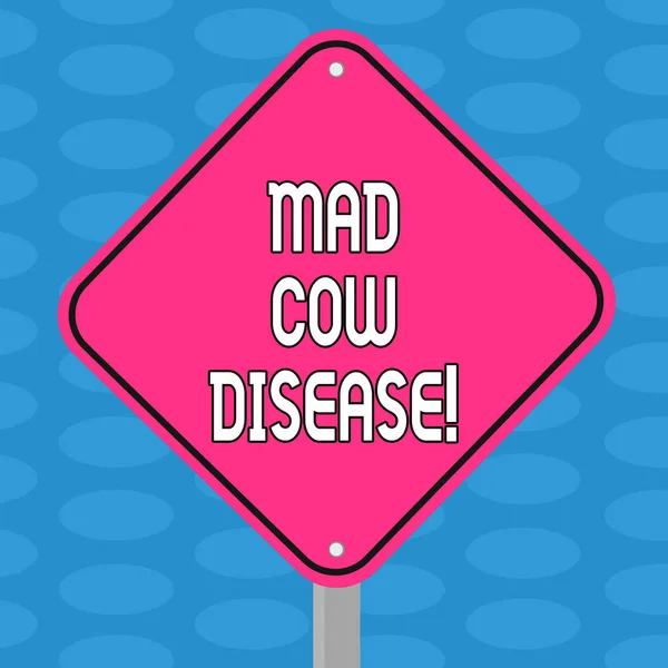 Word writing text Mad Cow Disease. Business concept for Neurodegenerative lethal disease contagious eating meat Blank Diamond Shape Color Road Warning Signage with One Leg Stand photo.