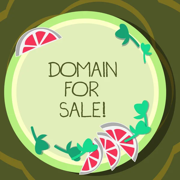 Conceptual hand writing showing Domain For Sale. Business photo showcasing Website available to be purchased webpage not being used Cutouts of Sliced Lime Wedge and Herb Leaves on Color Plate.