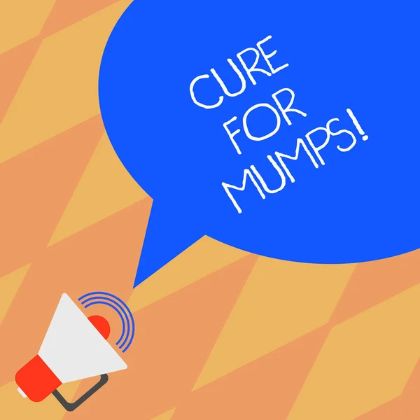 Text sign showing Cure For Mumps. Conceptual photo Medical treatment for contagious infectious disease Megaphone with Sound Volume Icon and Blank Color Speech Bubble photo. — Stock Photo, Image