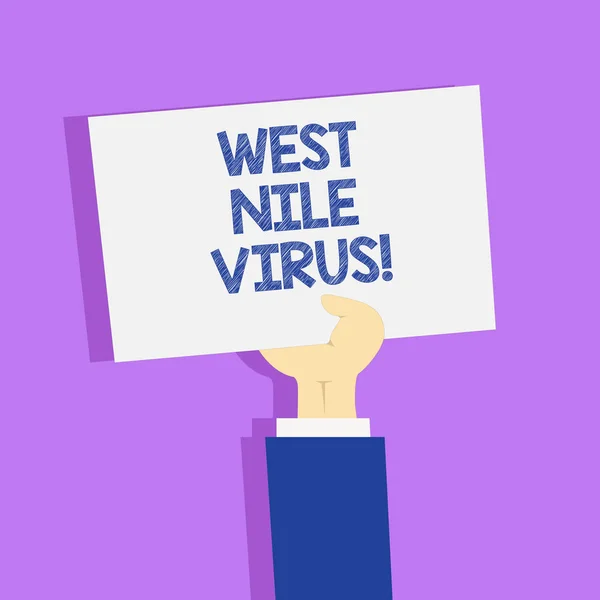 Palavra escrita texto Vírus do Nilo Ocidental. Conceito de negócio para a infecção viral causa tipicamente se espalhou por mosquitos . — Fotografia de Stock