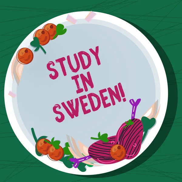 显示在瑞典学习的写作记录。商业照片展示了旅游到欧洲国家的教育目的手绘制羔羊排骨草本香料樱桃番茄空白彩板. — 图库照片