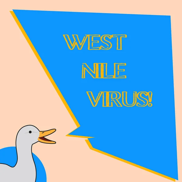 Texte d'écriture de mots Virus du Nil occidental. Concept d'affaires pour l'infection virale cause typiquement propagée par les moustiques . — Photo