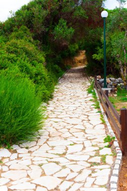 Taş yolu yeşil doğa ve çalılar. Macera ve doğa doğa yolda konseptiyle. Taş yol ve yeşil çalılar.