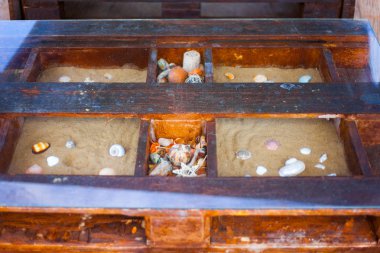 Deniz kabuğu içinde açık cam masa. Kutusunda kabukları ile kum.