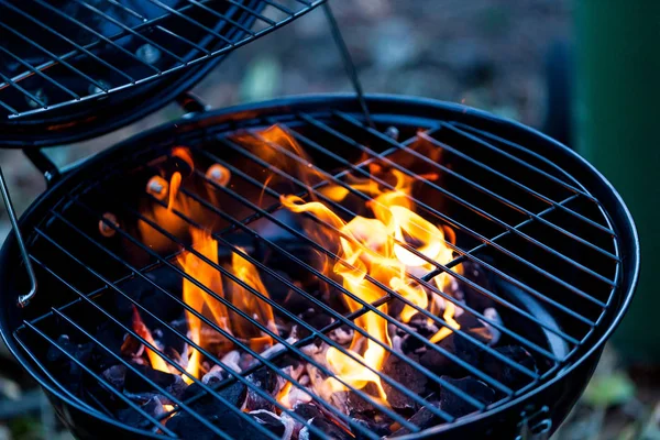 Barbecue fire with round grill. Food preparing concept with bbq fire on grill. — Stock Photo, Image