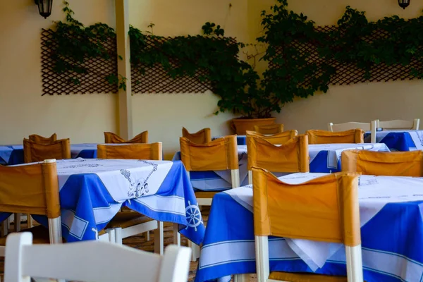 Cadeiras e mesas de madeira com toalha de mesa azul. Restaurante vazio com plantas na parede . — Fotografia de Stock