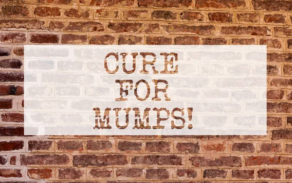 Conceptual hand writing showing Cure For Mumps. Business photo showcasing Medical treatment for contagious infectious disease Brick Wall art like Graffiti motivational written on wall. — Stock Photo, Image