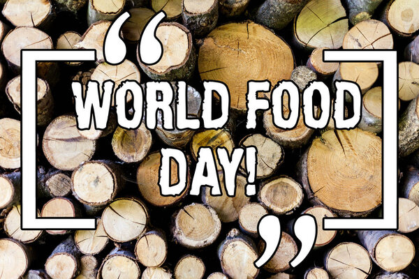 Handwriting text World Food Day. Concept meaning World day of action dedicated to tackling global hunger Wooden background vintage wood wild message ideas intentions thoughts.