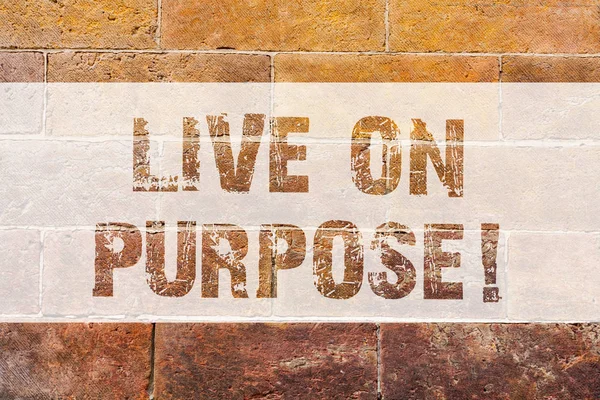 Signe texte montrant Live On Purpose. Photo conceptuelle Avoir un objectif mission motivation pour continuer à inspirer Brick Wall art comme Graffiti appel motivationnel écrit sur le mur . — Photo