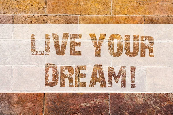 Text sign showing Live Your Dream. Conceptual photo Motivation be successful inspiration happiness achieve goals Brick Wall art like Graffiti motivational call written on the wall.