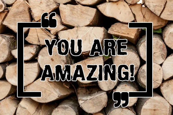 Text sign showing You Are Amazing. Conceptual photo To have a great opinion about someone Admiration Wonder Wooden background vintage wood wild message ideas intentions thoughts.