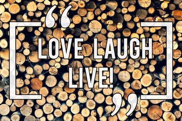 Writing Obs visar kärlek skratta Live. Företag foto skylta inspireras positiva njuta av dina dagar skrattar gott humör trä bakgrund vintage trä vilda meddelande idéer avsikter tankar. — Stockfoto