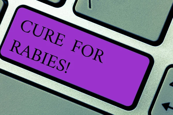 Tekst tegn, der viser Cure For Rabies. Konceptuelle foto Vaccination medicin til bekæmpelse af sygdom dødelig virus Tastaturnøgle Hensigt at skabe computer besked trykke tastatur ide . - Stock-foto