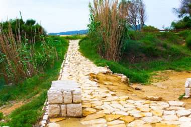 Taş yolu yeşil doğa ve çalılar. Macera ve doğa doğa yolda konseptiyle. Taş yol ve yeşil çalılar.