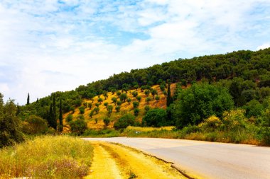 Yeşil flora civarı ile dağ doğa yolda. Tepeler ve dağlar doğa konseptiyle.