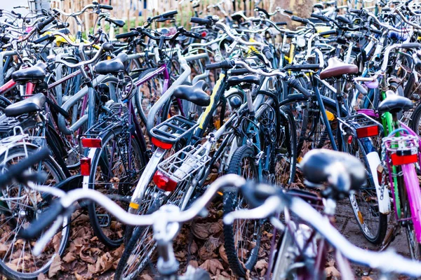 大きな自転車駐車自転車がたくさん。スポーツ自転車のコンセプト。通りのバイクの山. — ストック写真