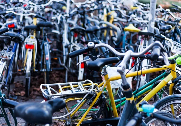 Büyük Bisiklet Bisiklet ile park yeri. Spor kavram bisiklet ile. Bisiklet sokakta yığını.