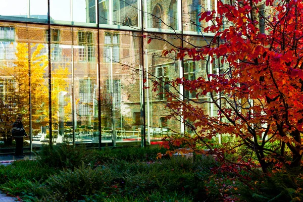バック グラウンドでの温室とカラフルな庭の木。木に赤や黄色の葉。秋の色のコンセプト イメージ. — ストック写真