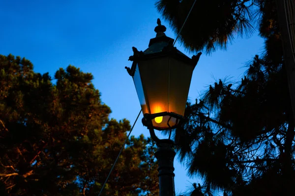 Bombilla de la calle en el parque oscuro. Antiguas luces de calle retro . —  Fotos de Stock