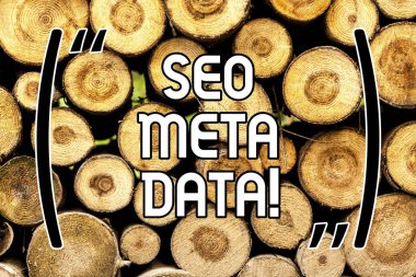 El yazısı metin Seo Meta veri. Arama Motoru Optimizasyonu Online pazarlama stratejisi ahşap arka plan vintage ahşap vahşi mesaj fikirler niyetli düşünceler anlam kavramı.
