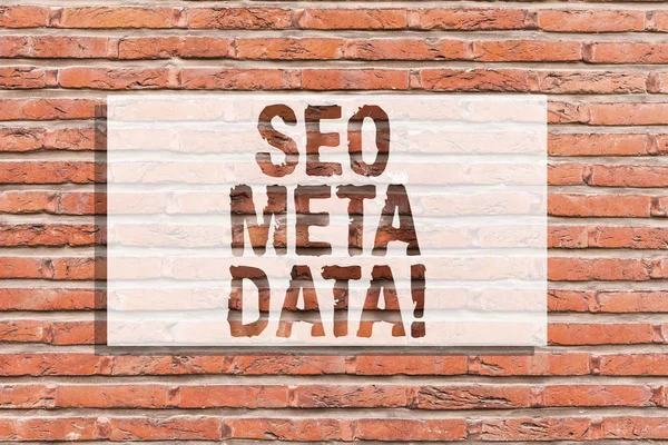 Tekst teken weergegeven: Seo Meta Data. Conceptuele foto Search Engine optimalisatie Online marketing strategie bakstenen muur kunst zoals motiverende gesprek Graffiti op de muur geschreven. — Stockfoto