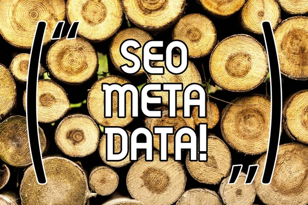 Handgeschreven tekst Seo Meta Data. Begrip betekenis Search Engine optimalisatie Online marketing strategie houten achtergrond vintage hout wilde bericht ideeën bedoelingen gedachten. — Stockfoto