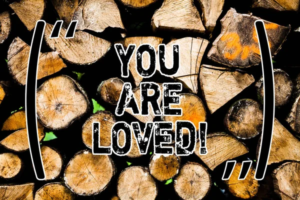 Word writing text You Are Loved. Business concept for Somebody loves you have strong feelings happy excited Wooden background vintage wood wild message ideas intentions thoughts.