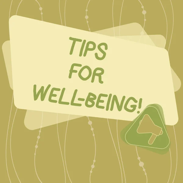Writing note showing Tips For Well Being. Business photo showcasing advices to state of being comfortable healthy or happy Megaphone Inside Triangle and Blank Color Rectangle for Announcement.