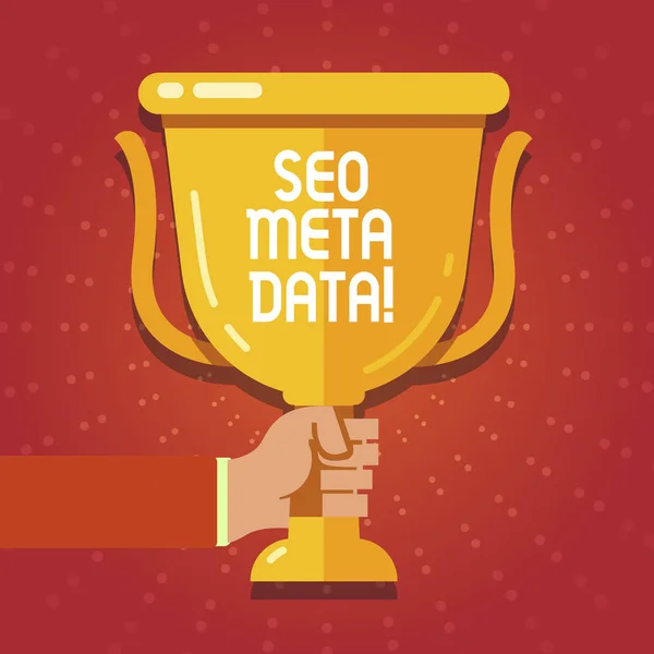 Tekst teken weergegeven: Seo Meta Data. Conceptuele foto Search Engine optimalisatie Online marketing strategie. — Stockfoto