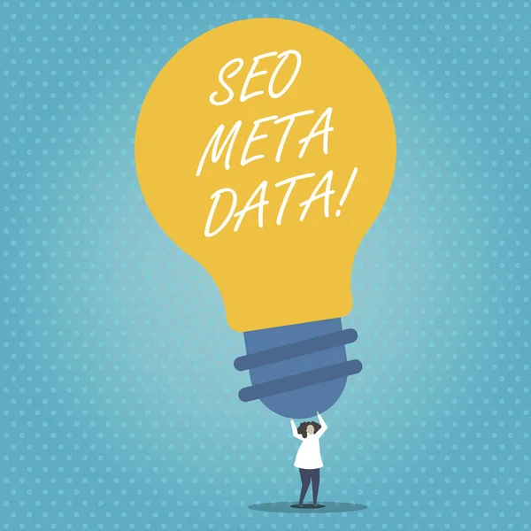 Handgeschreven tekst Seo Meta Data. Begrip betekenis Search Engine optimalisatie Online marketing strategie. — Stockfoto