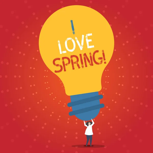 Konceptuální ručně psaného textu zobrazeno I Love jaro. Obchodní fotografie představí náklonnost pro sezónu roku kde jsou mnoho květin. — Stock fotografie