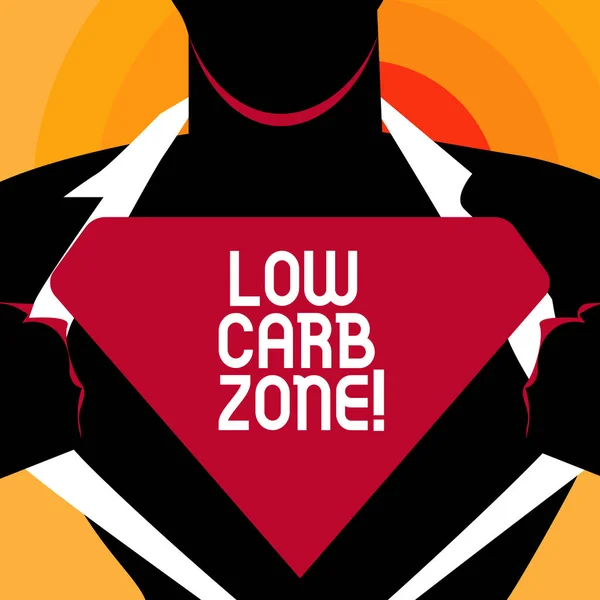 Slovo, psaní textu Low Carb zóny. Obchodní koncept pro zdravé stravy pro hubnutí jíst více bílkovin bez cukru. — Stock fotografie
